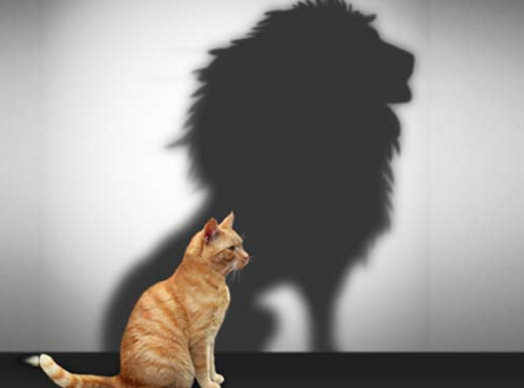 How to improve your self-esteem – 12 Powerful Tips